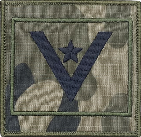 Stopień MŁODSZY CHORĄŻY na ramię wz2010 us22