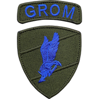 GROM NASZYWKA POLOWA OLIVE siły specjalne