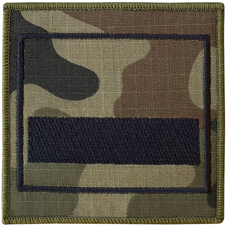 Stopień starszy szeregowy specjalista na ramię wz2010 us22