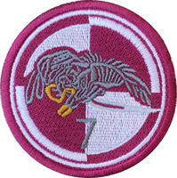 Naszywka 25 Brygada Kawalerii Powietrznej 7 bat