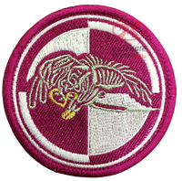 Naszywka 25 Brygada Kawalerii Powietrznej Wyjściowa