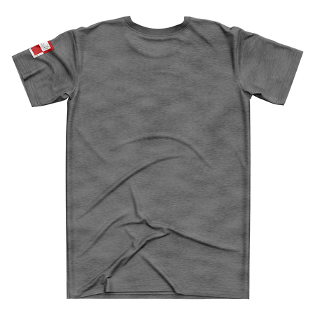 KOSZULKA DYWIZJON 303