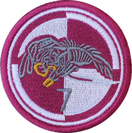 Naszywka 25 Brygada Kawalerii Powietrznej 7 bat