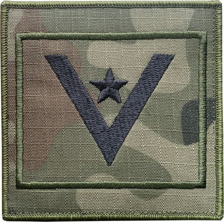 Stopień MŁODSZY CHORĄŻY na ramię wz2010 us22