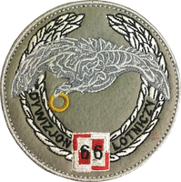 66 Dywizjon Lotniczy Naszywka