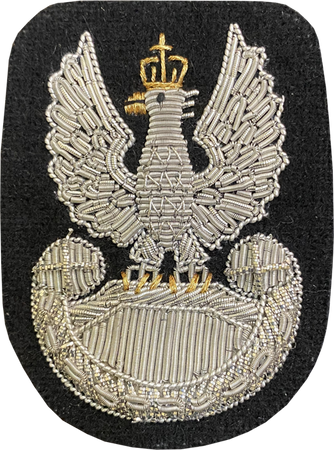 Orzeł WOJSK LĄDOWYCH NA BERET bajorko
