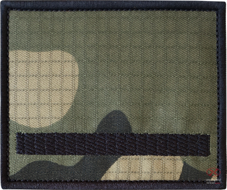 Stopień Starszy Szeregowy wz2010