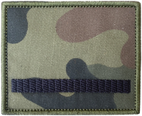 Stopień Starszy Szeregowy wz93