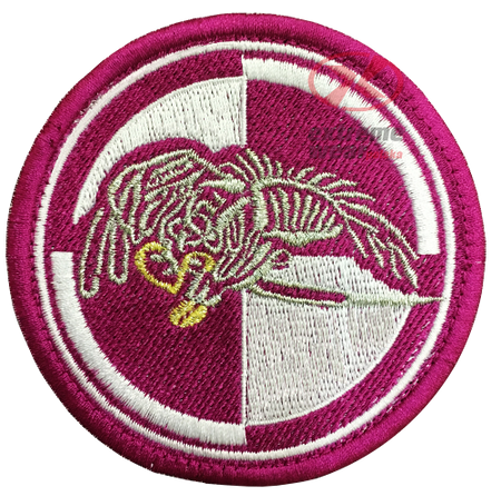 Naszywka 25 Brygada Kawalerii Powietrznej Wyjściowa