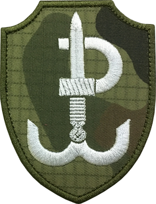 JWK Polska Walcząca WZ-2010 US-21