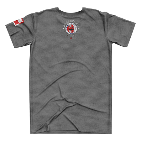 KOSZULKA DYWIZJON 303 PLANES