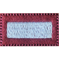 STARSZY SZEREGOWY SPECJALISTA na beret bordowy