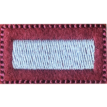 STARSZY SZEREGOWY SPECJALISTA na beret bordowy