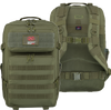 Plecak wojskowy turystyczny Extremewear POLSKA Assault 42 l olive