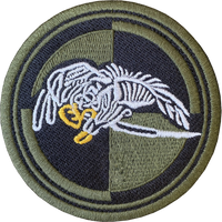 Naszywka 25 Brygada Kawalerii Powietrznej