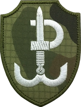 JWK Polska Walcząca WZ-2010 US-21