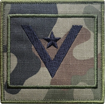 Stopień MŁODSZY CHORĄŻY na ramię wz2010 us22