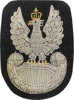 Orzeł WOJSK LĄDOWYCH NA BERET bajorko