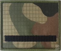 Stopień Starszy Szeregowy wz2010