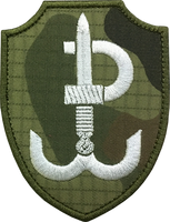 JWK Polska Walcząca WZ-2010 US-21