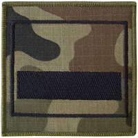 Stopień starszy szeregowy specjalista na ramię wz2010 us22