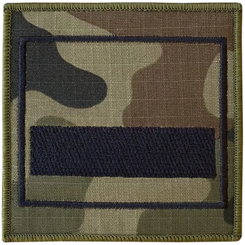 Stopień starszy szeregowy specjalista na ramię wz2010 us22